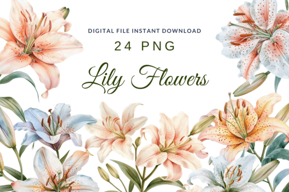 Download Watercolor Lilies Flower Lily Clipart - Clipart Collection