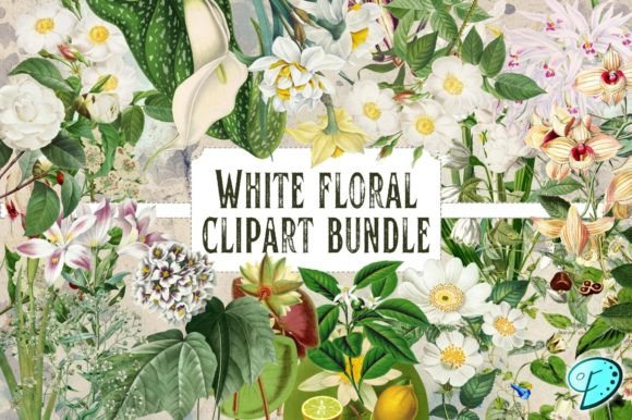 Download White Floral Vintage Clipart Bundle - Clipart Collection